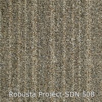Robusta Project-SDN 508